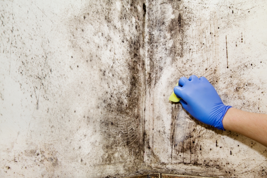 ECF Underlayment Can Help Prevent Mold Growth